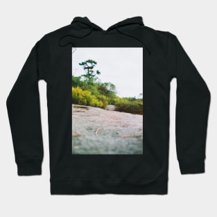 Boreal Forest Hoodie
